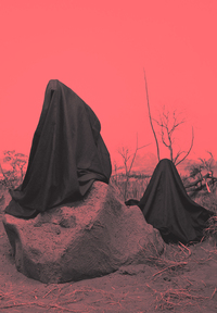 Picture of Violent Images