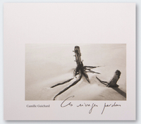 Picture of Ces rivages perdus