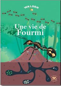 Image de Un travail de fourmi