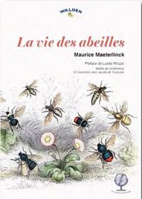Image de La vie des abeilles