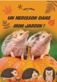 Image de Un hérisson dans mon jardin