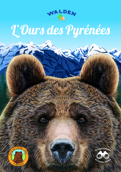 Image de L’Ours des Pyrénées