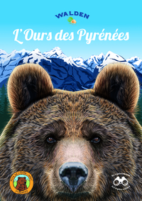 Image de L’Ours des Pyrénées