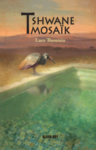 Image de TSHWANE MOSAIK