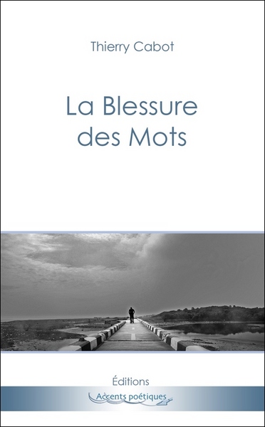 Picture of La Blessure des Mots
