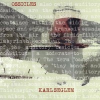 Picture of OSSICLES
