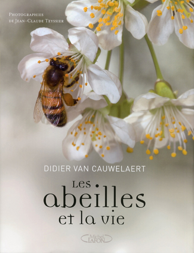 Image de Les abeilles et la vie