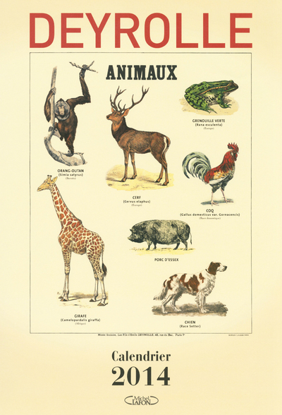 Image de Calendrier Deyrolle 2014