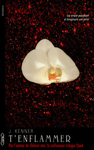 Picture of T'enflammer