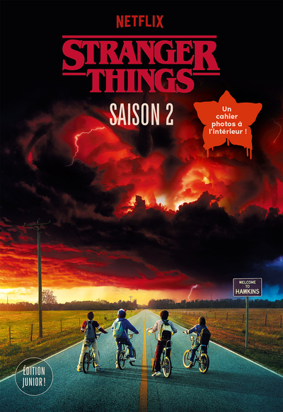 Image de Stranger Things - Saison 2