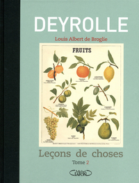 Image de Lecons de choses - Tome 2