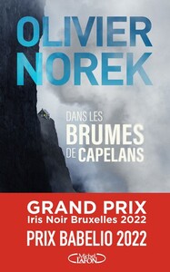 Picture of Dans les brumes de Capelans