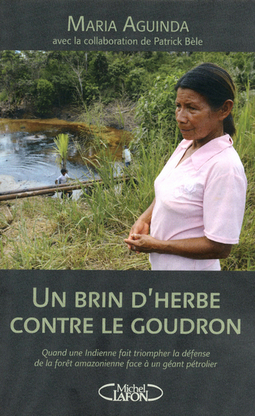 Picture of Un brin d'herbe contre le goudron. Quand une indienne fait triompher la défense de la forêt amazonie