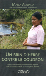 Picture of Un brin d'herbe contre le goudron. Quand une indienne fait triompher la défense de la forêt amazonie