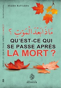 Image de Qu'est-ce qui se passe après la Mort ?