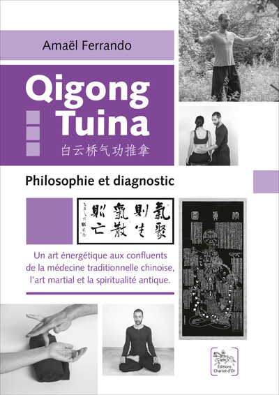 Image de Qigong Tuina Tome 3 - Philosophie et diagnostic