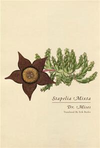 Picture of Dr. Mises Stapelia Mixta /anglais