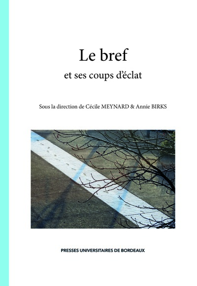Picture of Le bref et ses coups d’éclat
