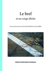 Picture of Le bref et ses coups d’éclat
