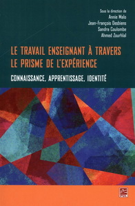 Picture of LE TRAVAIL ENSEIGNANT A TRAVERS LE PRISME DE L'EXPERIENCE
