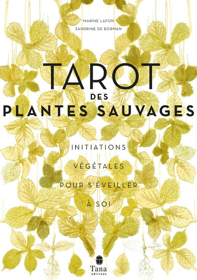 Picture of Le tarot des plantes sauvages