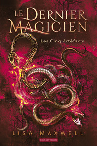 Picture of Le Dernier Magicien