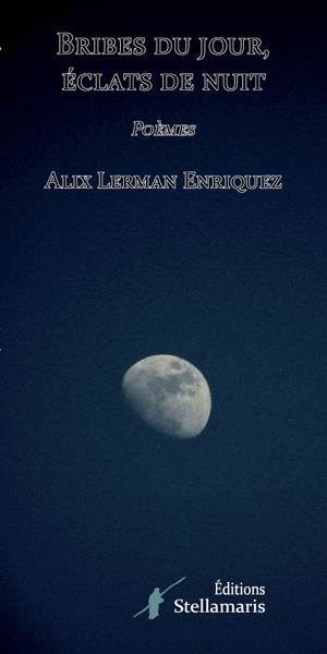 Picture of Bribes du jour, éclats de nuit