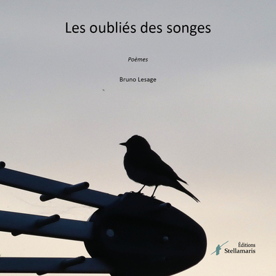 Picture of Les oubliés des songes