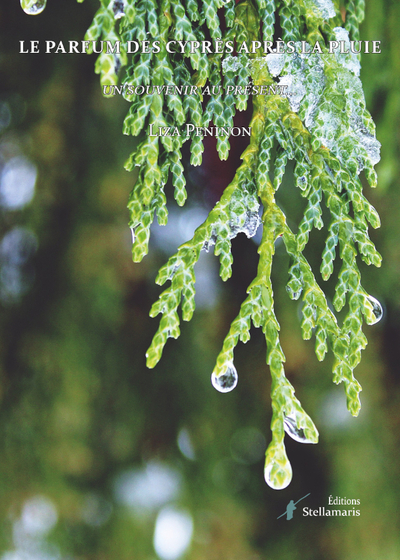 Picture of Le parfum des cyprès après la pluie