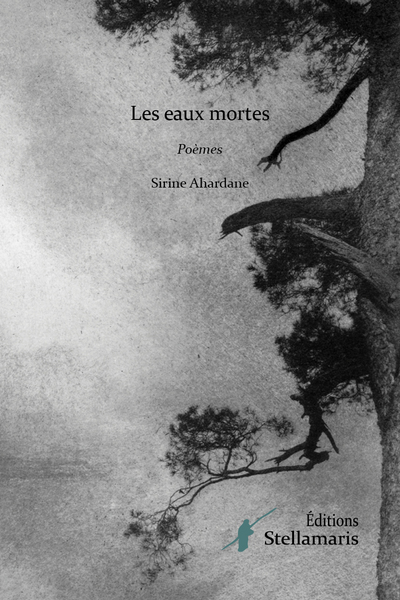 Picture of Les eaux mortes