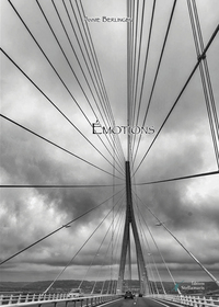 Picture of Émotions