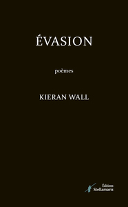 Picture of Evasion