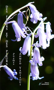 Picture of Des fleurs et des pleurs