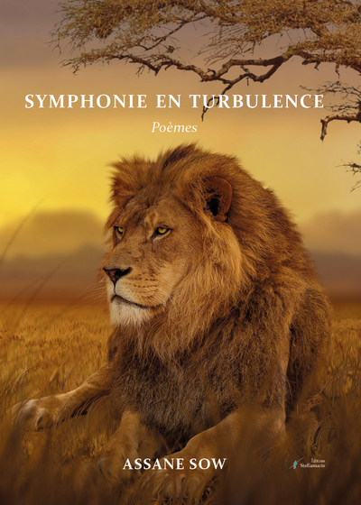 Image de Symphonie en turbulence