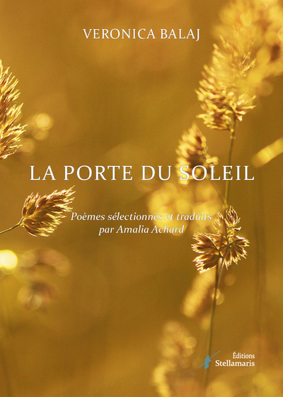 Picture of La porte du soleil