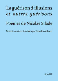 Picture of La guérison d'illusions et autres illusions