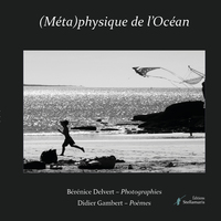 Image de (Méta)physique de l'Océan