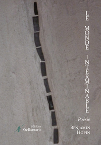 Picture of Le monde interminable