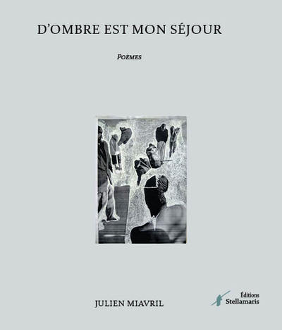 Picture of D'ombre est mon séjour