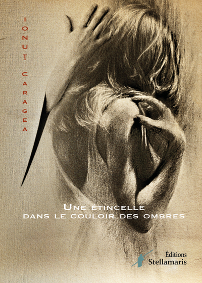 Picture of Une étincelle dans le couloir des ombres