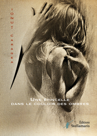 Picture of Une étincelle dans le couloir des ombres