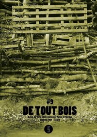 Image de DE TOUT BOIS : N9. REVUE DE LUTTE CONTRE LE CENTER PARCS DE ROYBON
