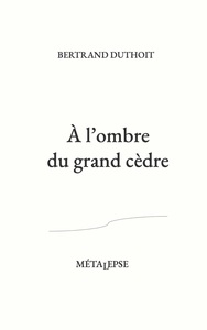 Image de À l'ombre du grand cèdre
