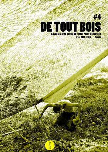 Picture of De tout bois