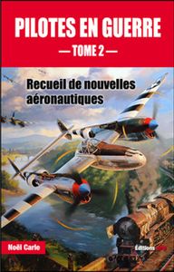 Picture of Pilotes en guerre - tome 2