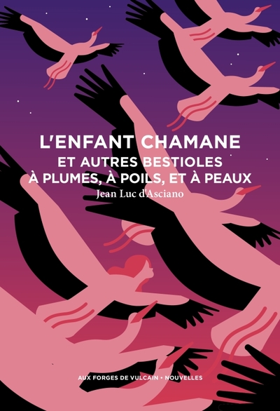 Image de L'Enfant chamane et autres bestioles à plumes, à poils, et à peaux
