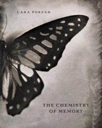 Image de The Chemistry of Memory