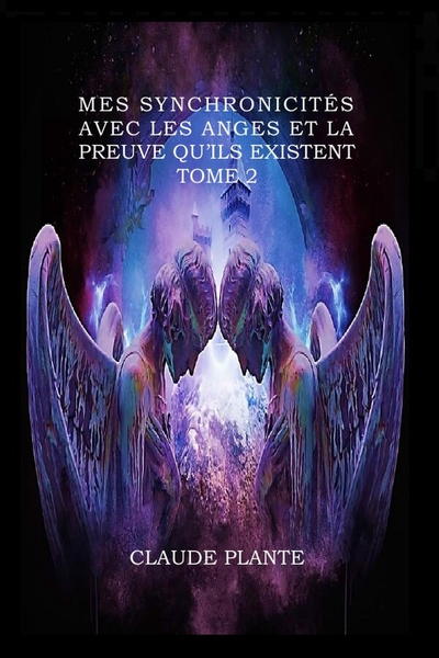 Picture of Mes synchronicités avec les anges et la preuve qu'ils existent - Tome 2