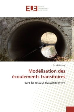 Image de Modélisation des écoulements transitoires