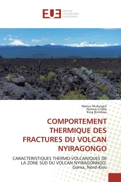 Picture of COMPORTEMENT THERMIQUE DES FRACTURES DU VOLCAN NYIRAGONGO